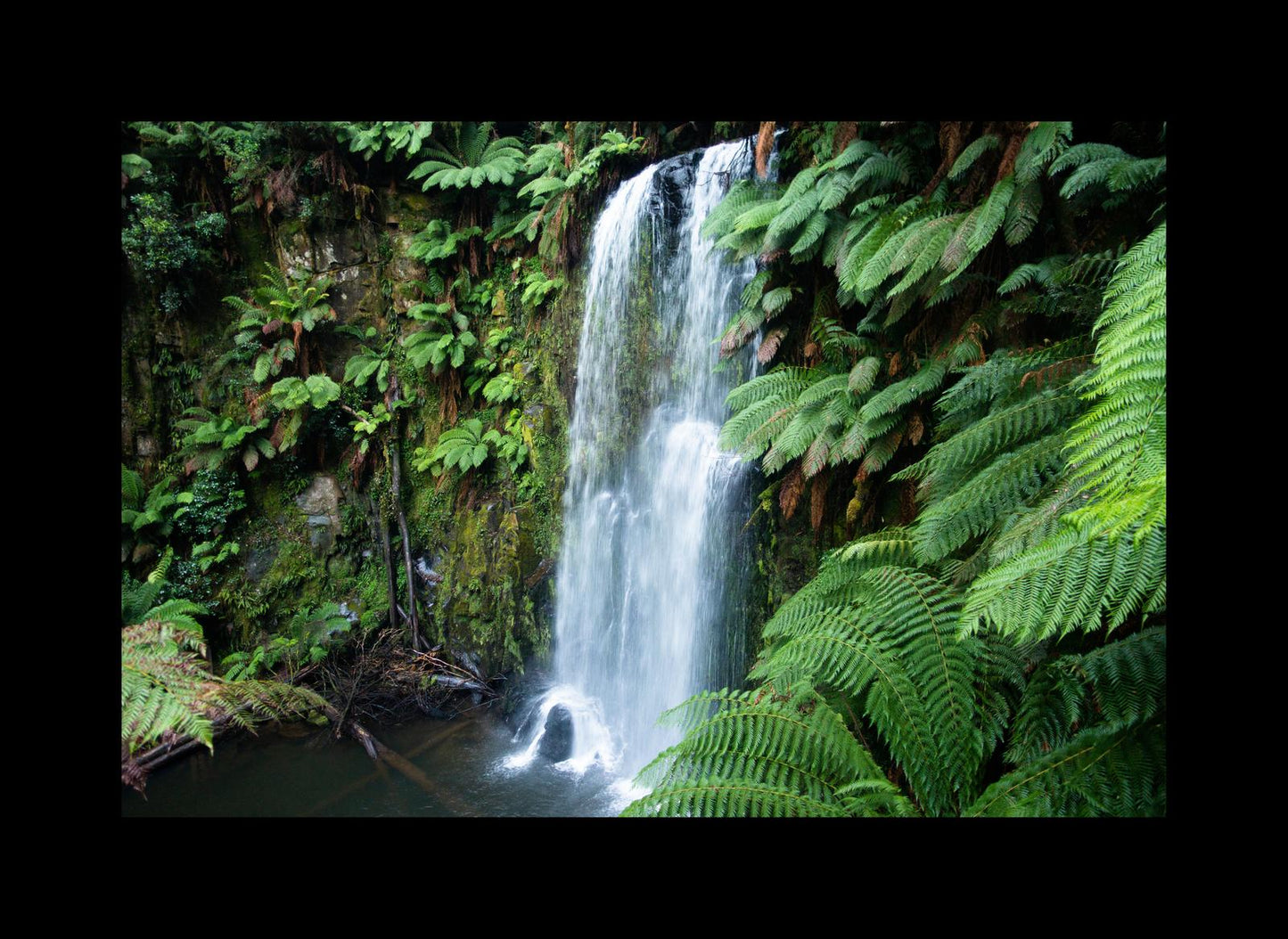 Beauchamp Falls (Great Otway National Park, May 2022) Framed Art Print