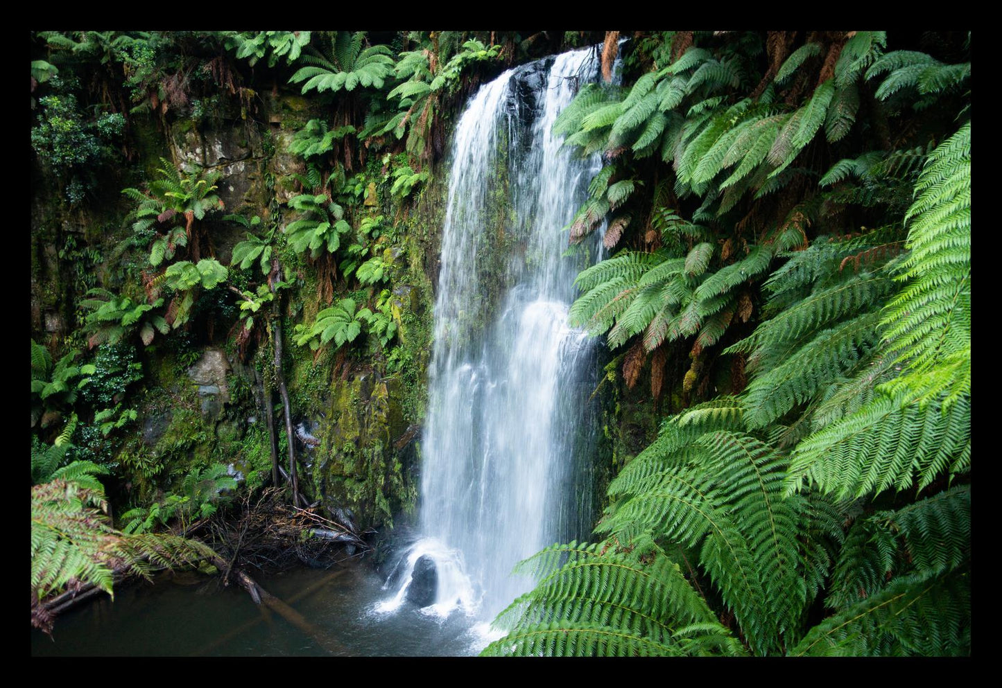 Beauchamp Falls (Great Otway National Park, May 2022) Framed Art Print