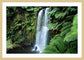 Beauchamp Falls (Great Otway National Park, May 2022) Framed Art Print
