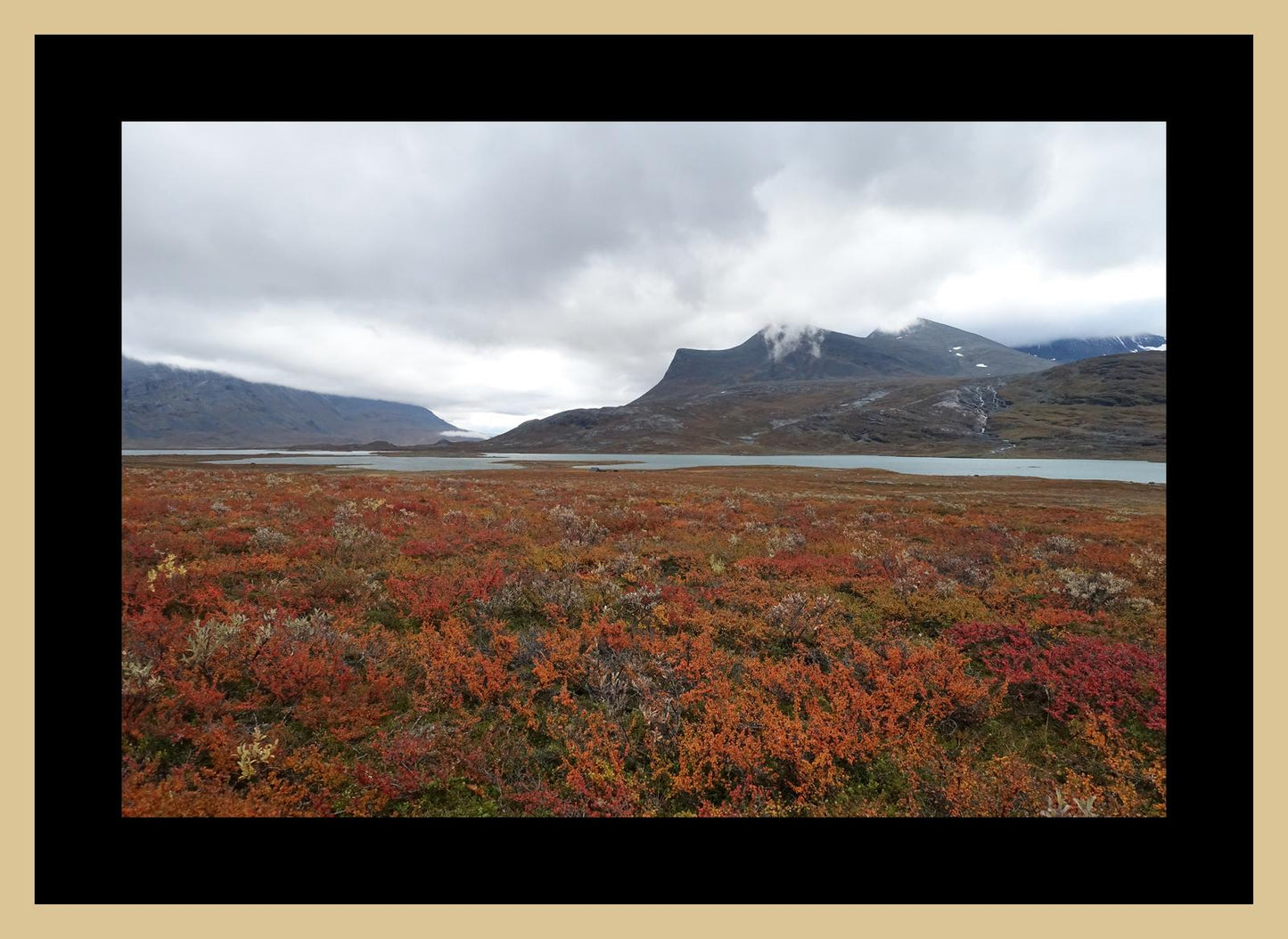 Fall colors and still waters (Swedish Lappland, September 2016) Framed Art Print