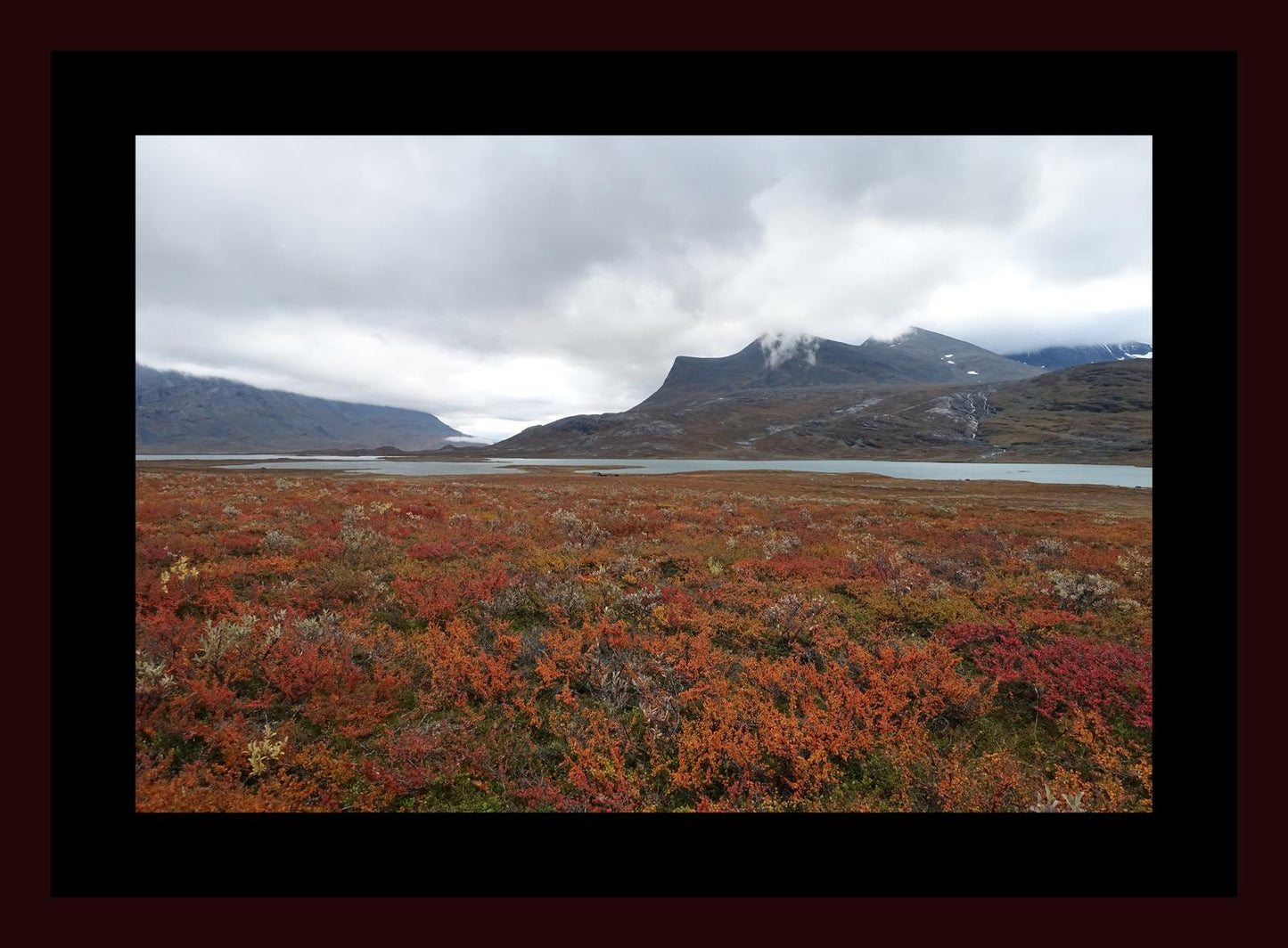 Fall colors and still waters (Swedish Lappland, September 2016) Framed Art Print