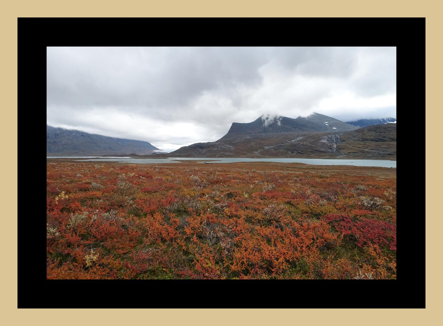 Fall colors and still waters (Swedish Lappland, September 2016) Framed Art Print