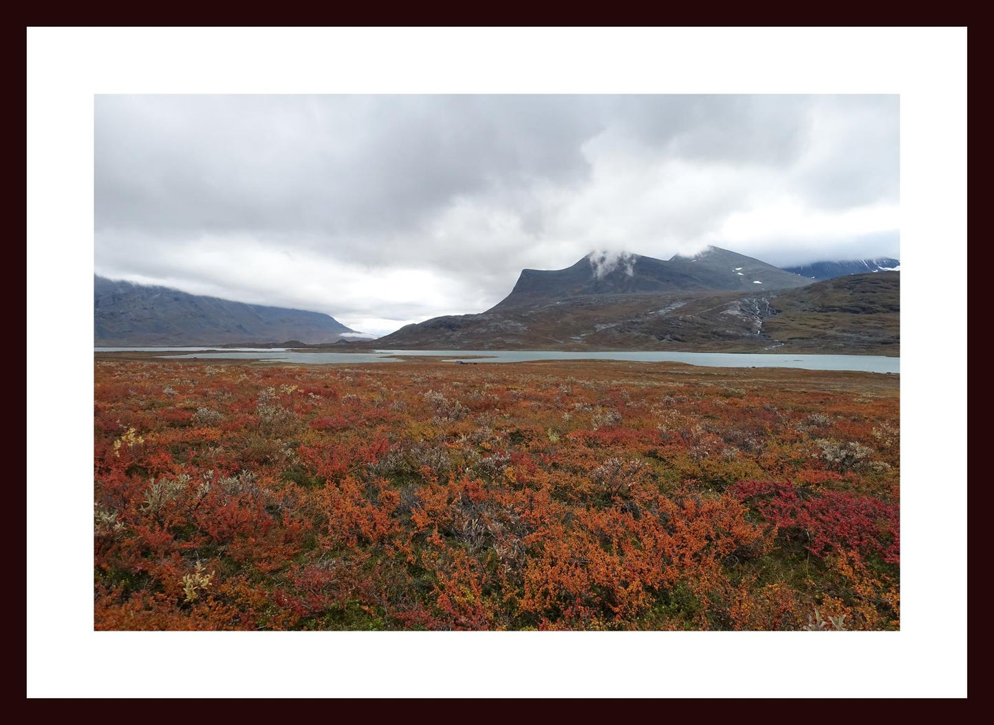 Fall colors and still waters (Swedish Lappland, September 2016) Framed Art Print