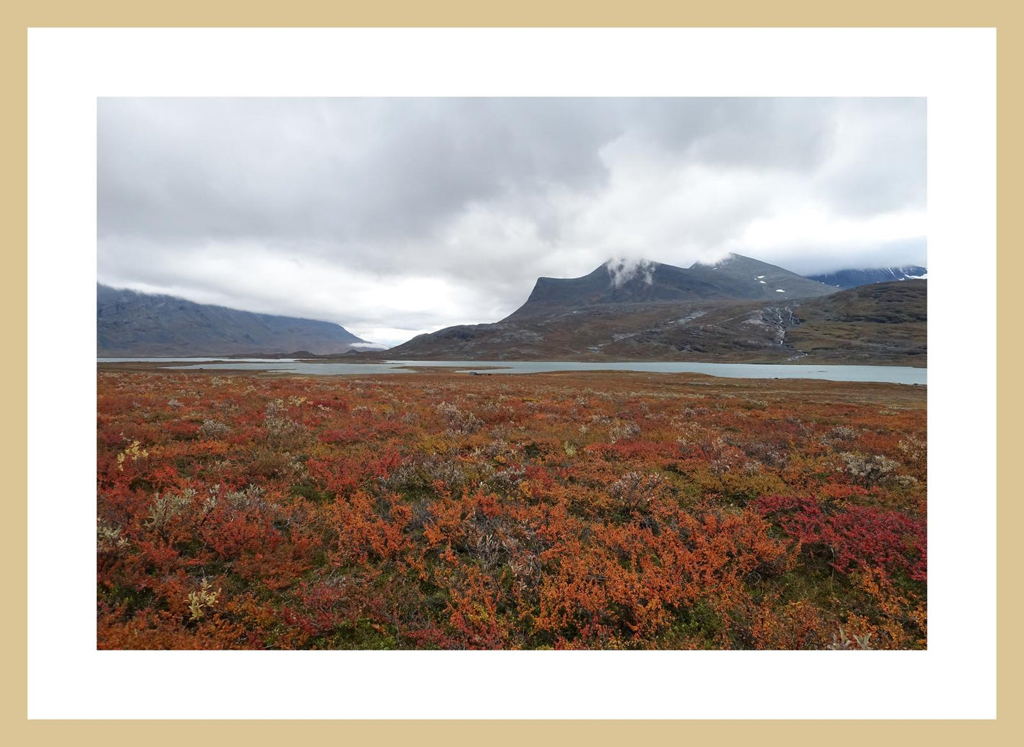 Fall colors and still waters (Swedish Lappland, September 2016) Framed Art Print