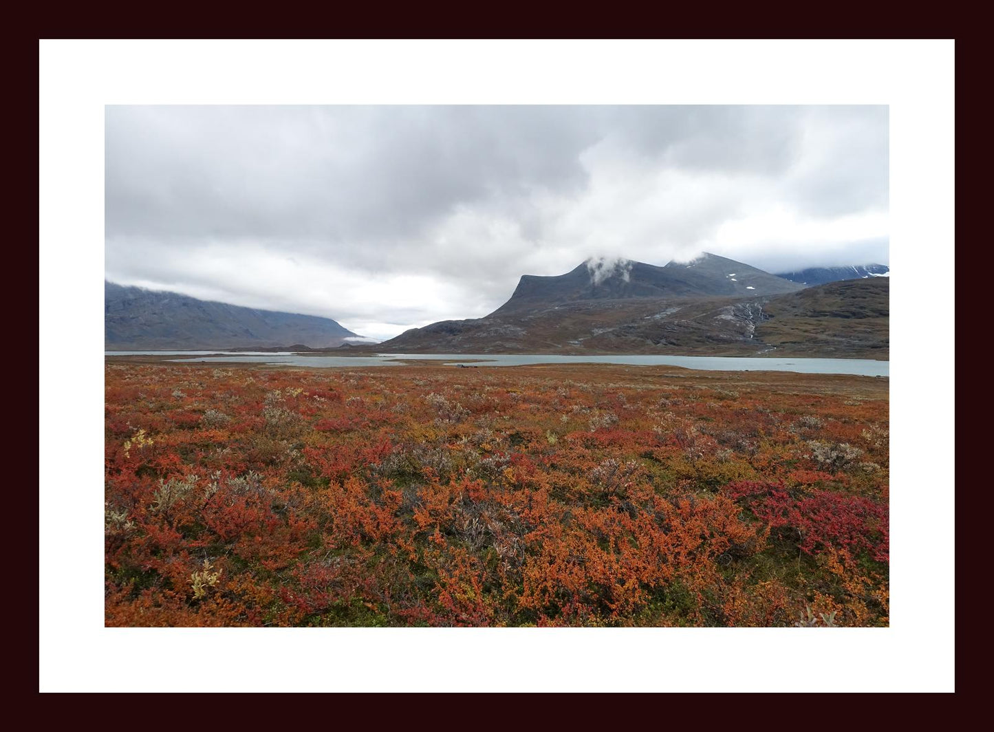 Fall colors and still waters (Swedish Lappland, September 2016) Framed Art Print