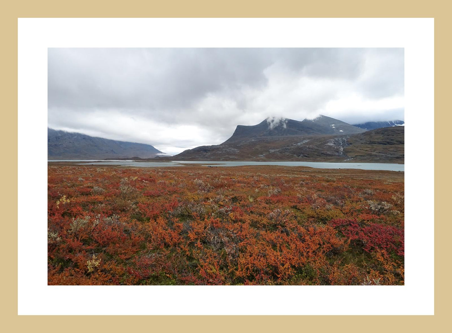 Fall colors and still waters (Swedish Lappland, September 2016) Framed Art Print