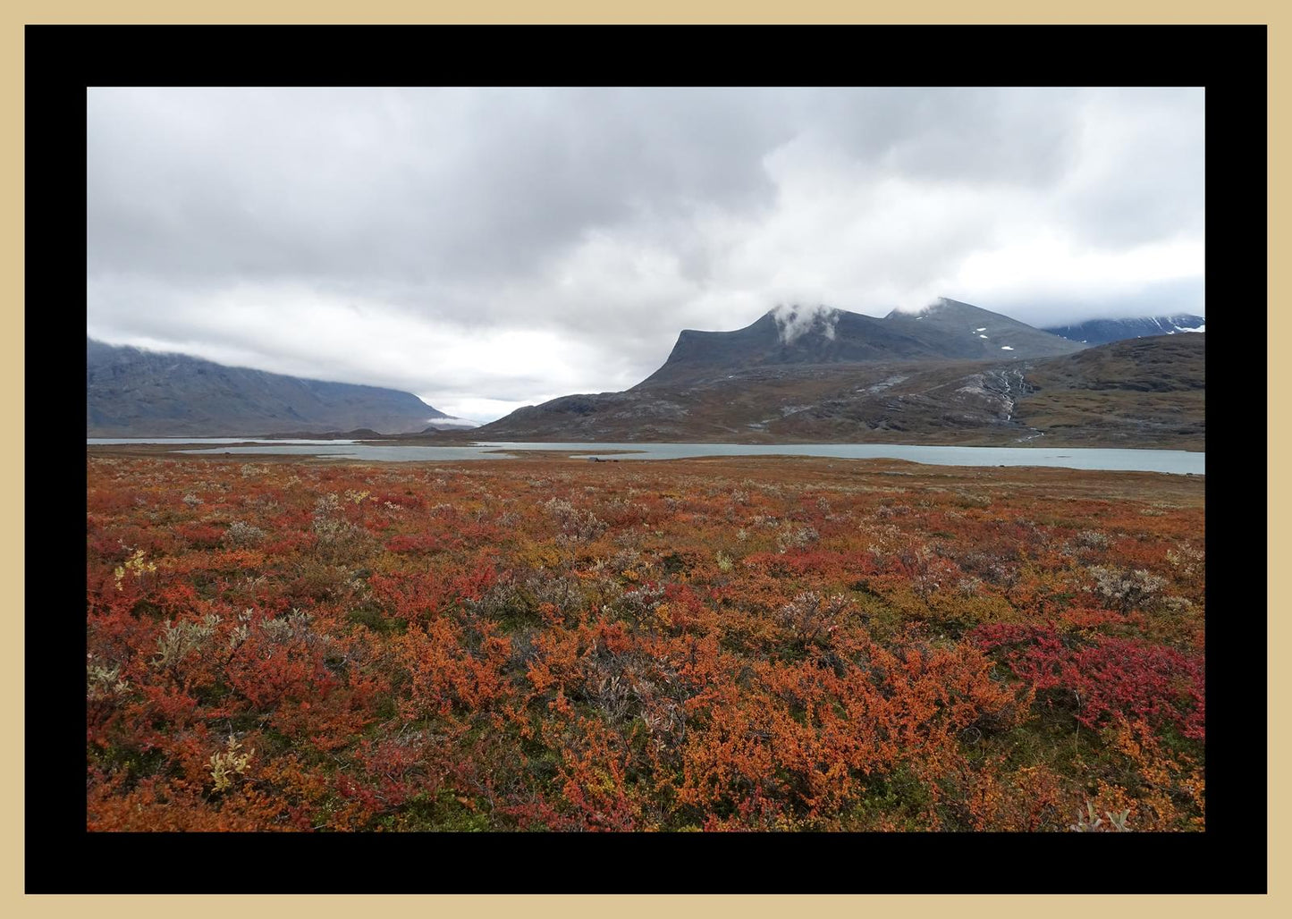 Fall colors and still waters (Swedish Lappland, September 2016) Framed Art Print