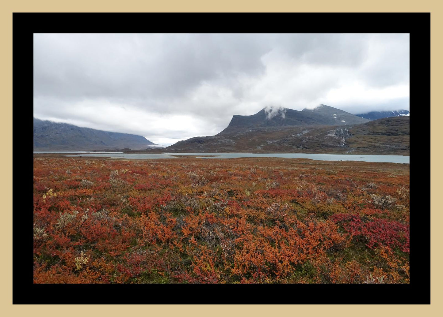 Fall colors and still waters (Swedish Lappland, September 2016) Framed Art Print