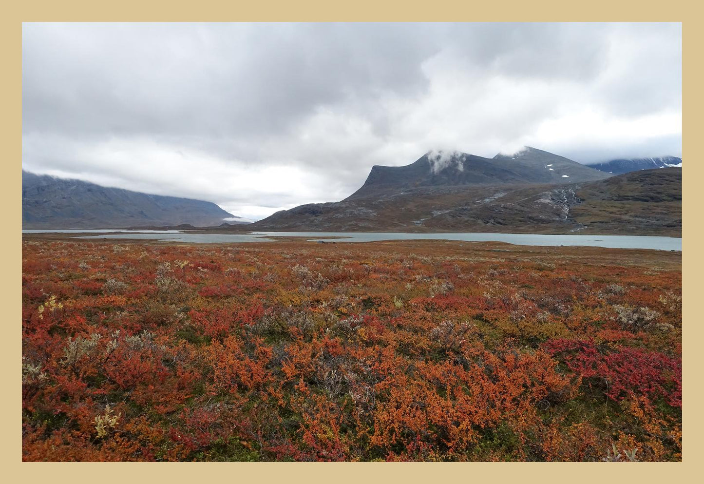 Fall colors and still waters (Swedish Lappland, September 2016) Framed Art Print