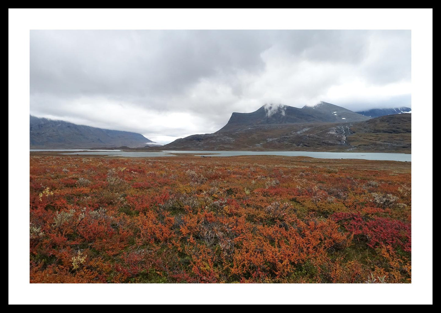 Fall colors and still waters (Swedish Lappland, September 2016) Framed Art Print