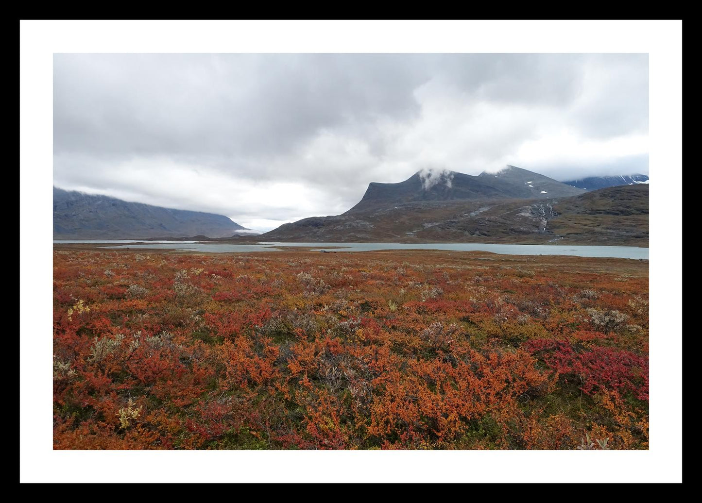 Fall colors and still waters (Swedish Lappland, September 2016) Framed Art Print