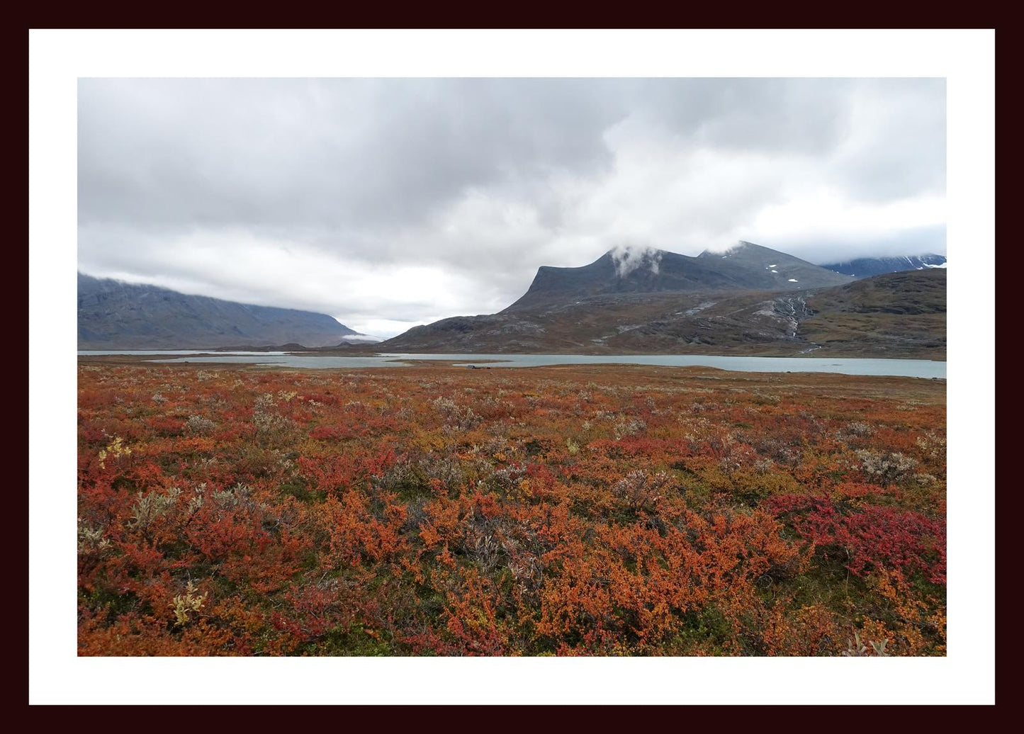 Fall colors and still waters (Swedish Lappland, September 2016) Framed Art Print