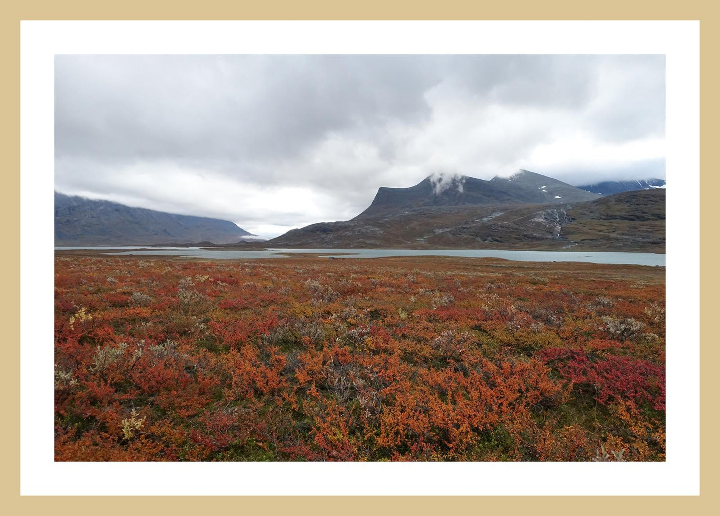 Fall colors and still waters (Swedish Lappland, September 2016) Framed Art Print