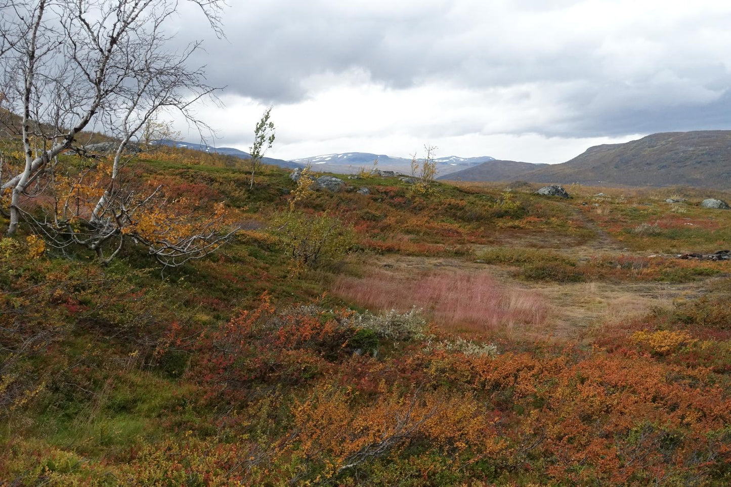 Autumn palette on the Kungsleden (Swedish Lappland, September 2016) Framed Art Print