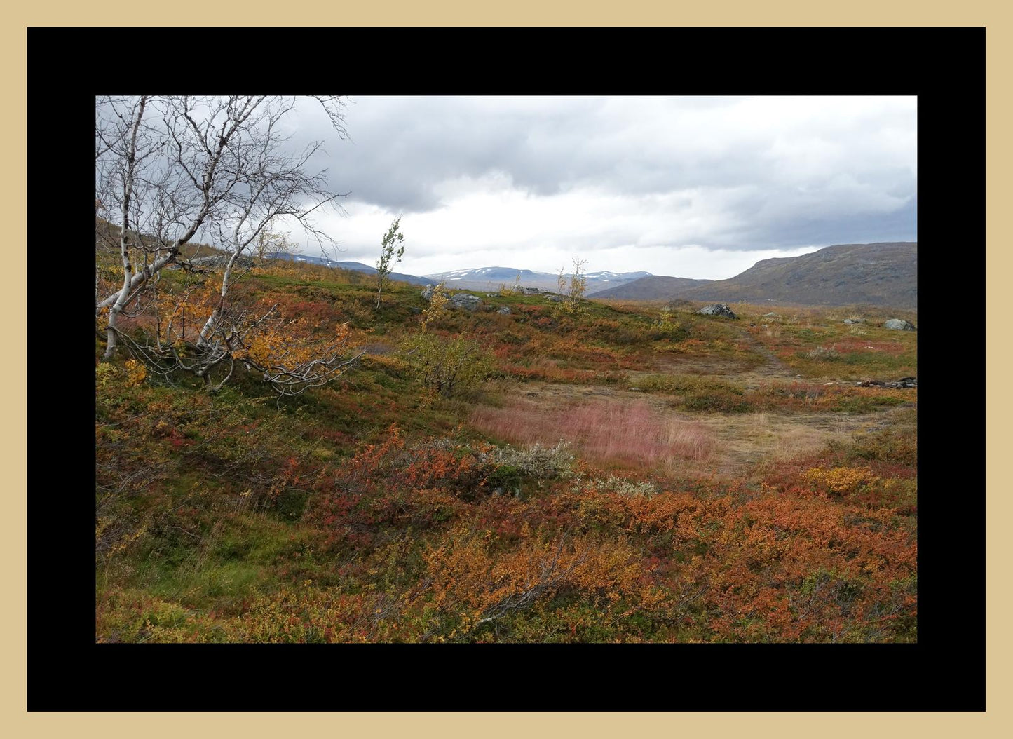 Autumn palette on the Kungsleden (Swedish Lappland, September 2016) Framed Art Print