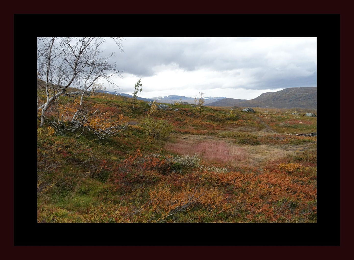 Autumn palette on the Kungsleden (Swedish Lappland, September 2016) Framed Art Print