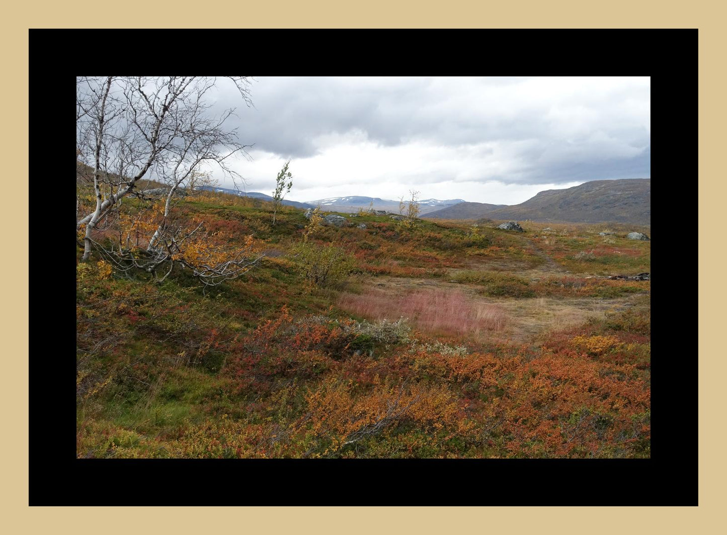 Autumn palette on the Kungsleden (Swedish Lappland, September 2016) Framed Art Print