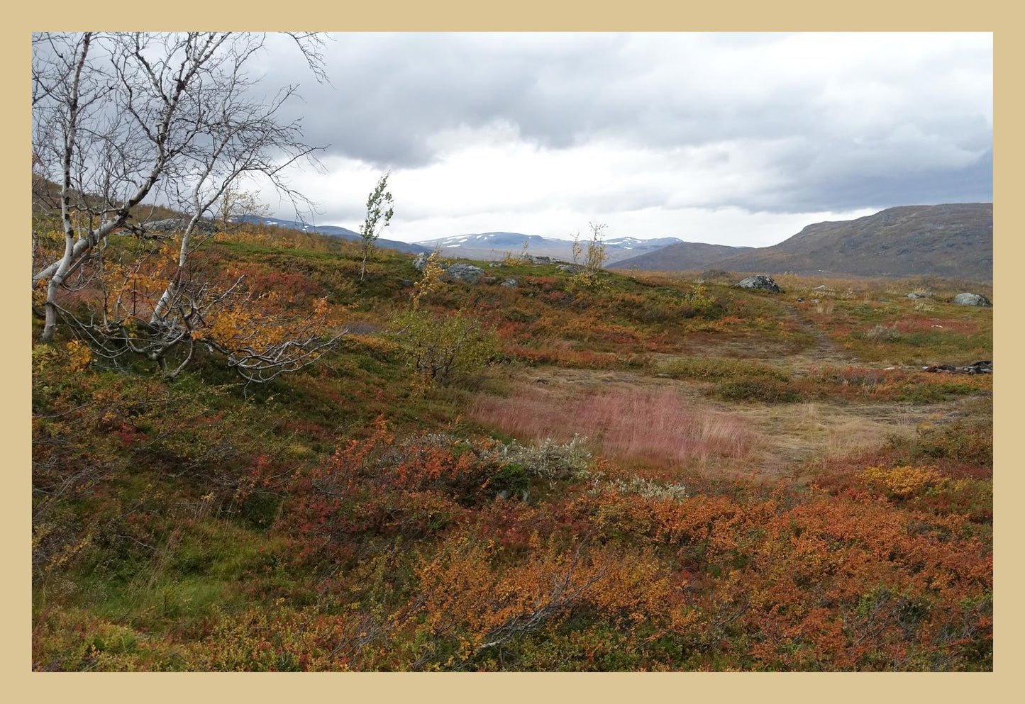 Autumn palette on the Kungsleden (Swedish Lappland, September 2016) Framed Art Print