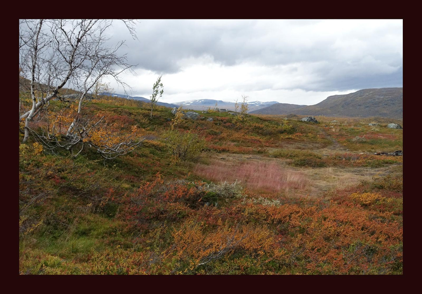 Autumn palette on the Kungsleden (Swedish Lappland, September 2016) Framed Art Print