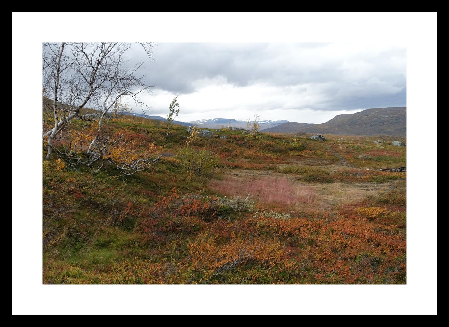 Autumn palette on the Kungsleden (Swedish Lappland, September 2016) Framed Art Print