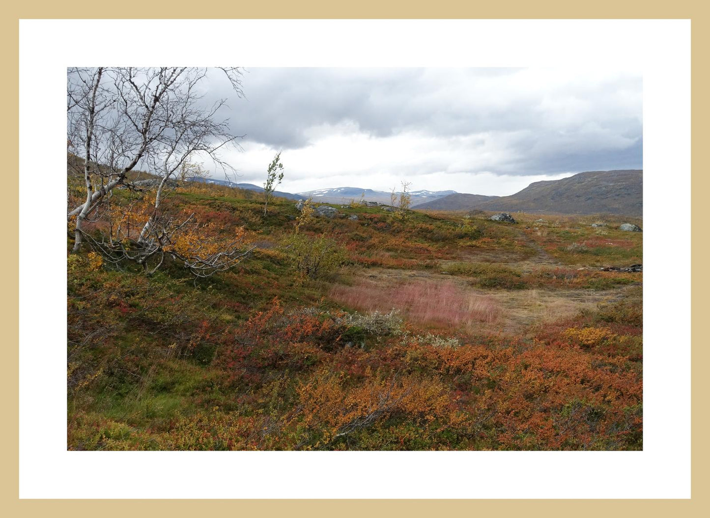 Autumn palette on the Kungsleden (Swedish Lappland, September 2016) Framed Art Print