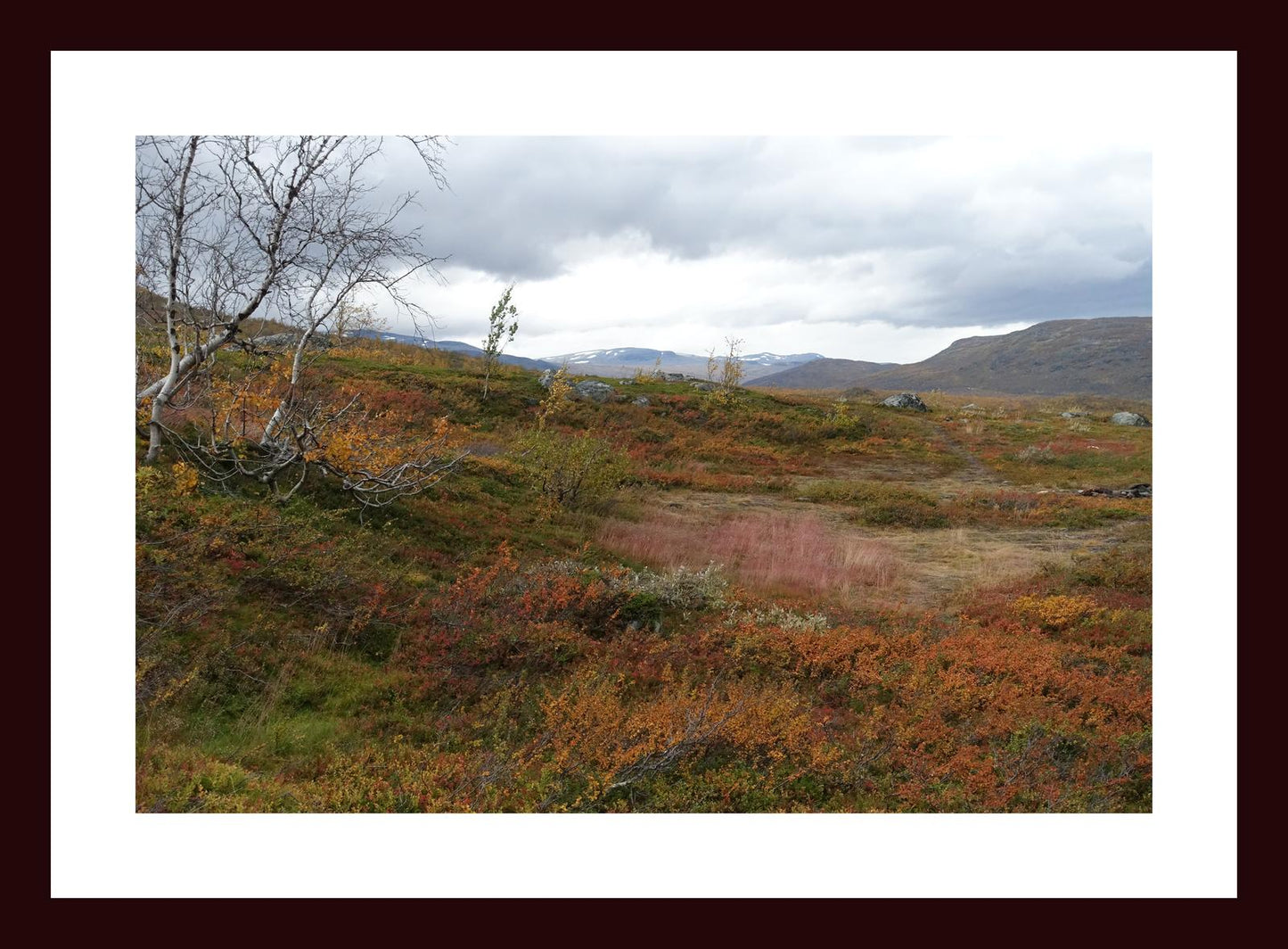 Autumn palette on the Kungsleden (Swedish Lappland, September 2016) Framed Art Print