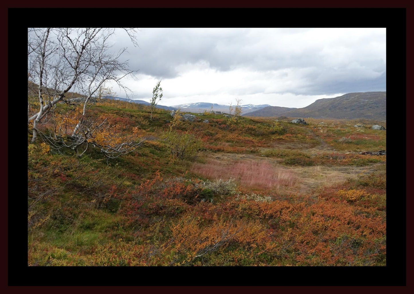 Autumn palette on the Kungsleden (Swedish Lappland, September 2016) Framed Art Print