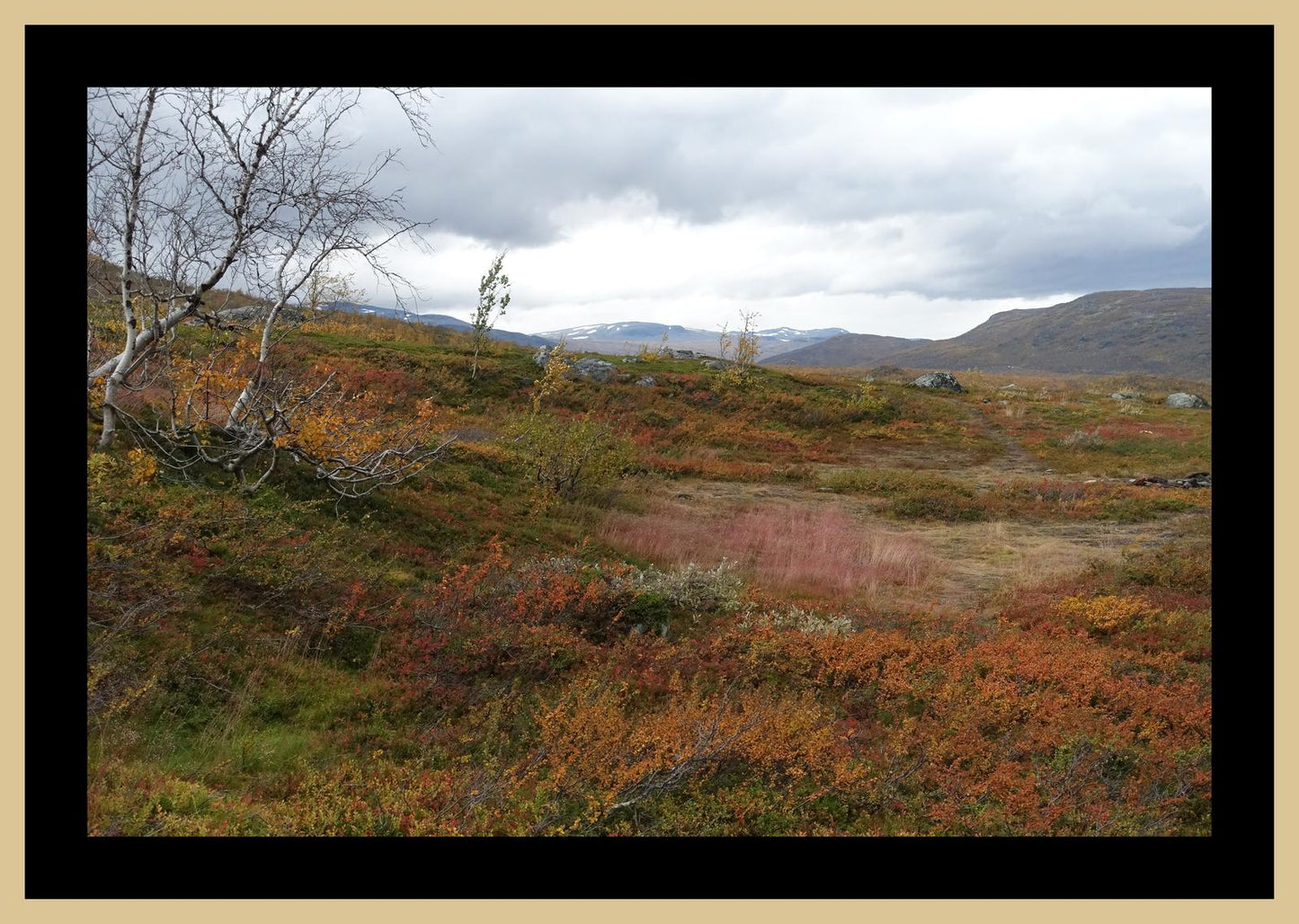 Autumn palette on the Kungsleden (Swedish Lappland, September 2016) Framed Art Print