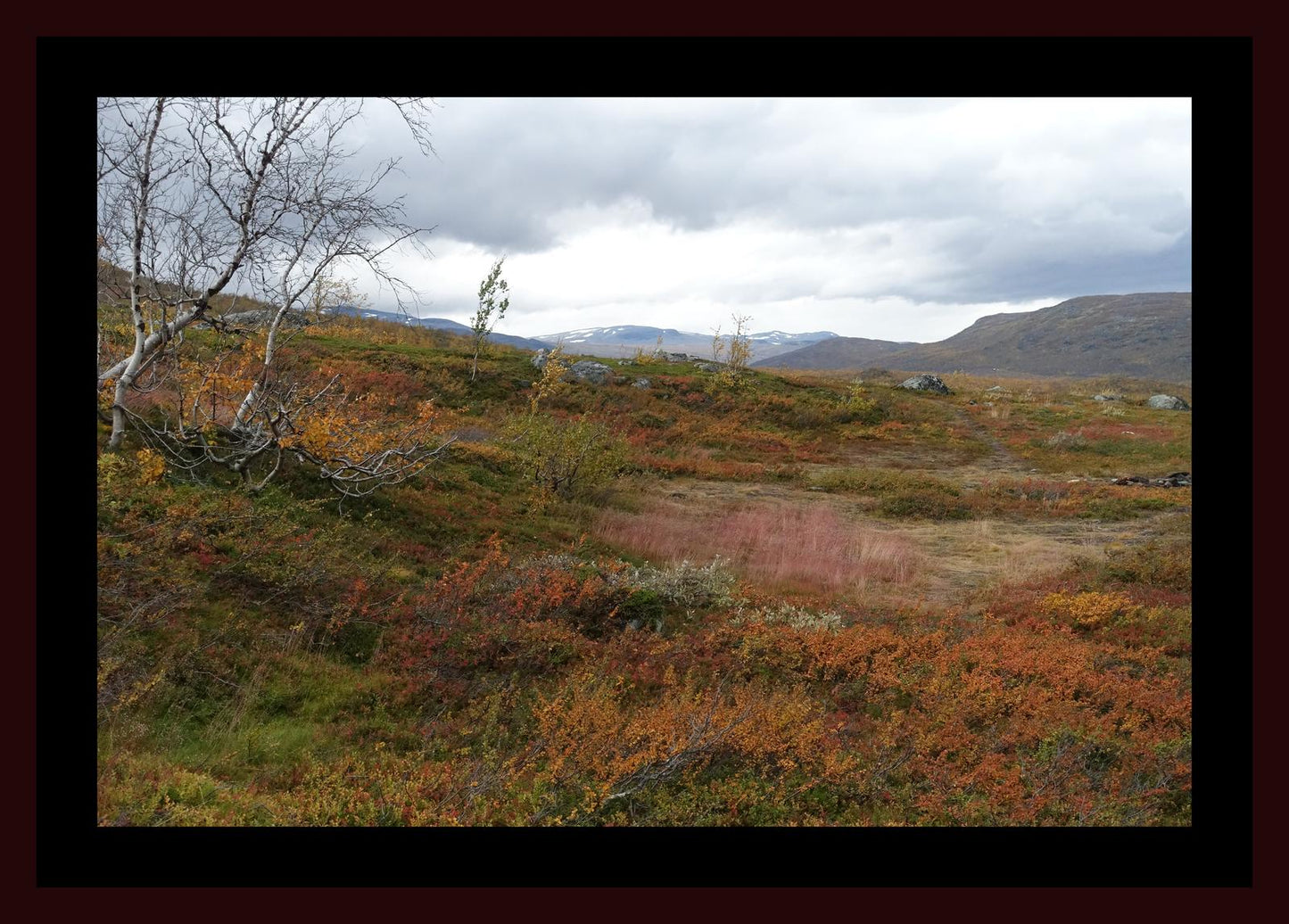 Autumn palette on the Kungsleden (Swedish Lappland, September 2016) Framed Art Print