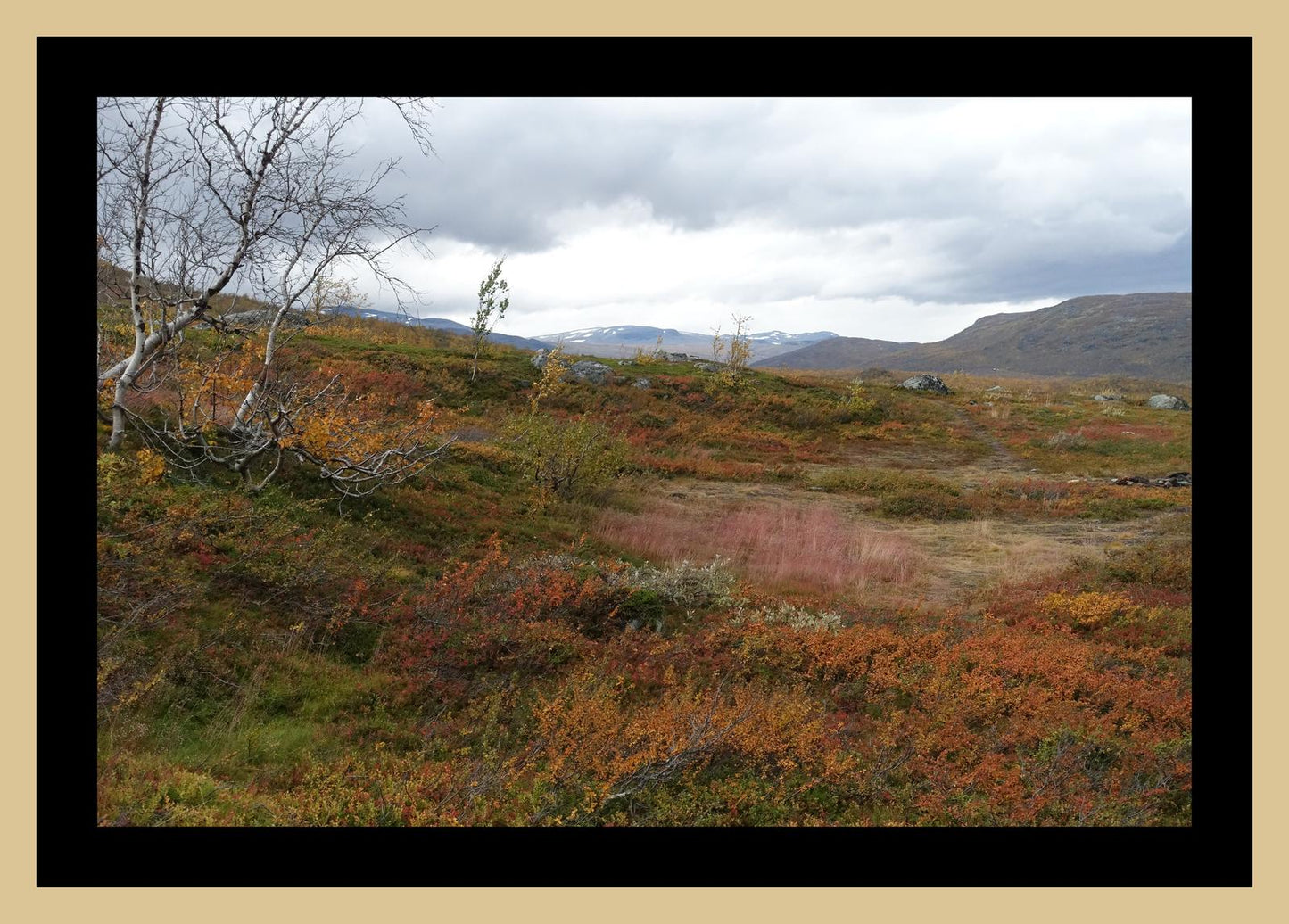 Autumn palette on the Kungsleden (Swedish Lappland, September 2016) Framed Art Print