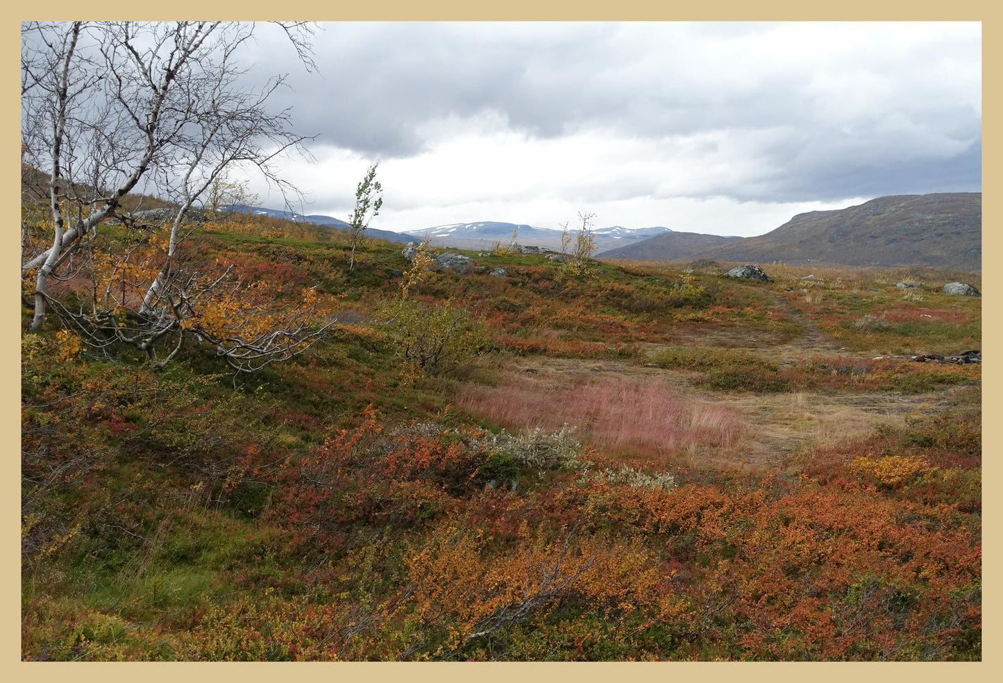 Autumn palette on the Kungsleden (Swedish Lappland, September 2016) Framed Art Print