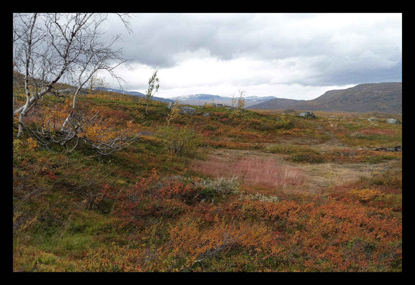 Autumn palette on the Kungsleden (Swedish Lappland, September 2016) Framed Art Print