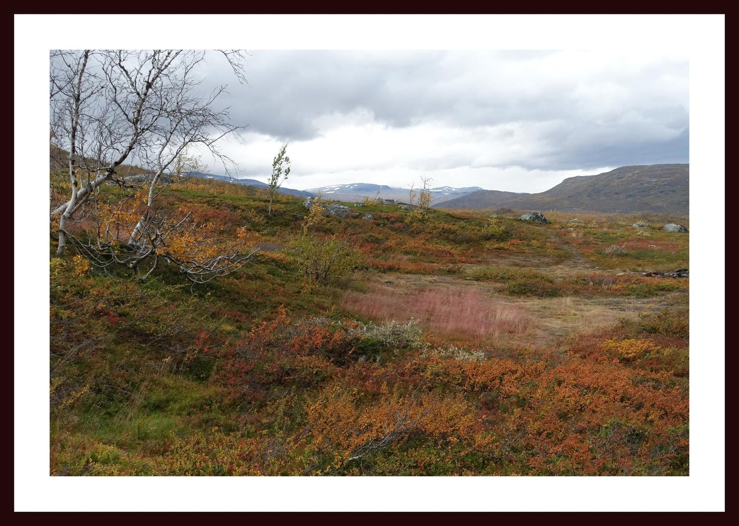 Autumn palette on the Kungsleden (Swedish Lappland, September 2016) Framed Art Print