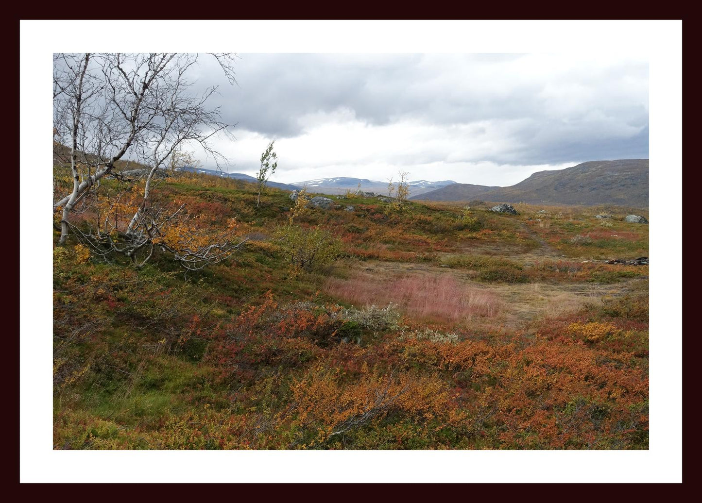 Autumn palette on the Kungsleden (Swedish Lappland, September 2016) Framed Art Print