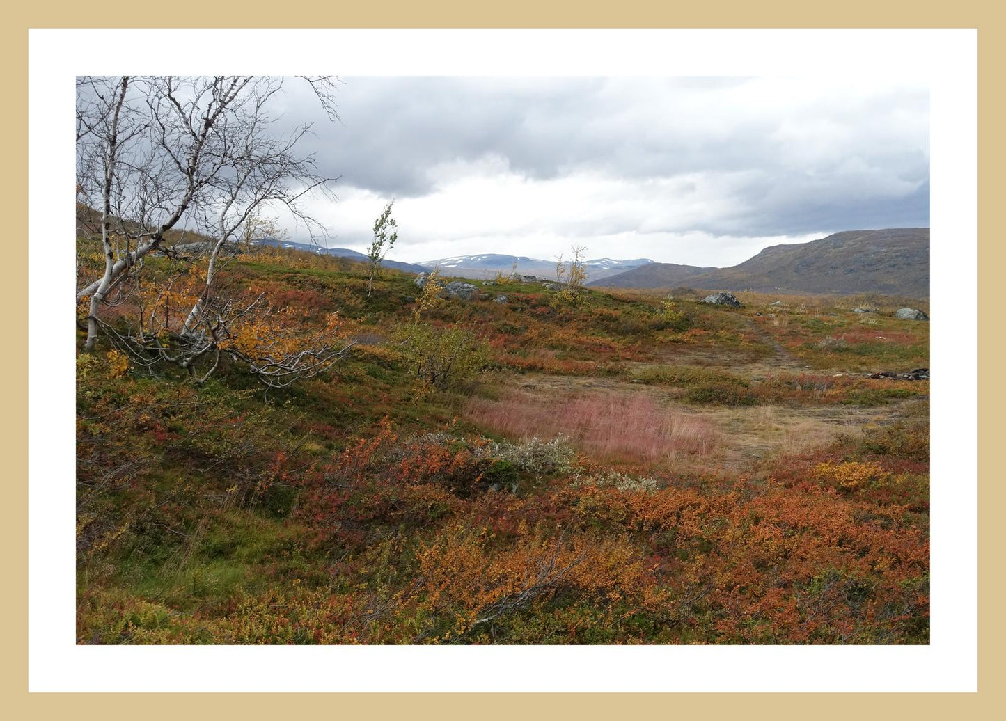 Autumn palette on the Kungsleden (Swedish Lappland, September 2016) Framed Art Print