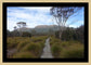 Mount Olympus from the Overland Track (Tasmania, May 2019) Framed Art Print