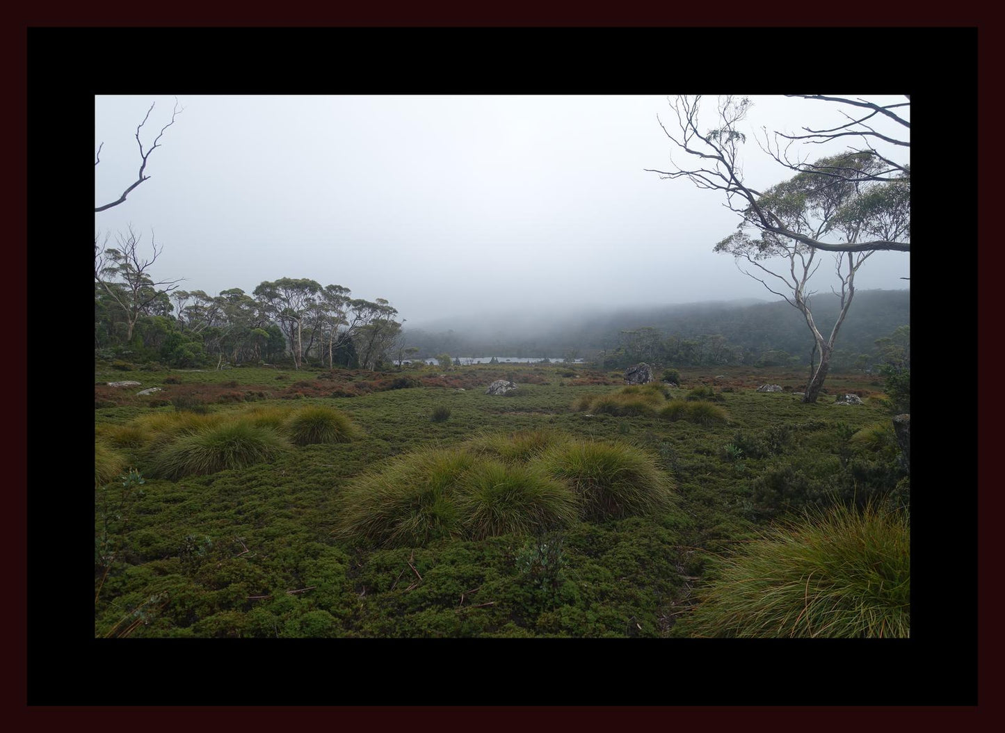 The banks of Lake Windermere (Tasmania, May 2019) Framed Art Print