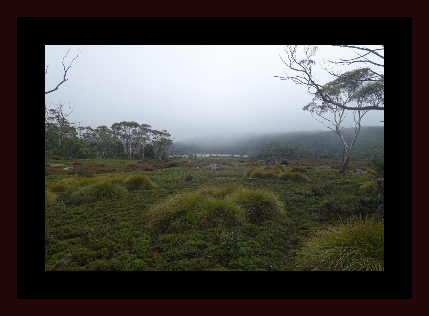 The banks of Lake Windermere (Tasmania, May 2019) Framed Art Print