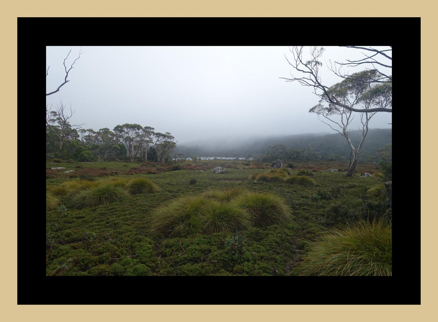 The banks of Lake Windermere (Tasmania, May 2019) Framed Art Print