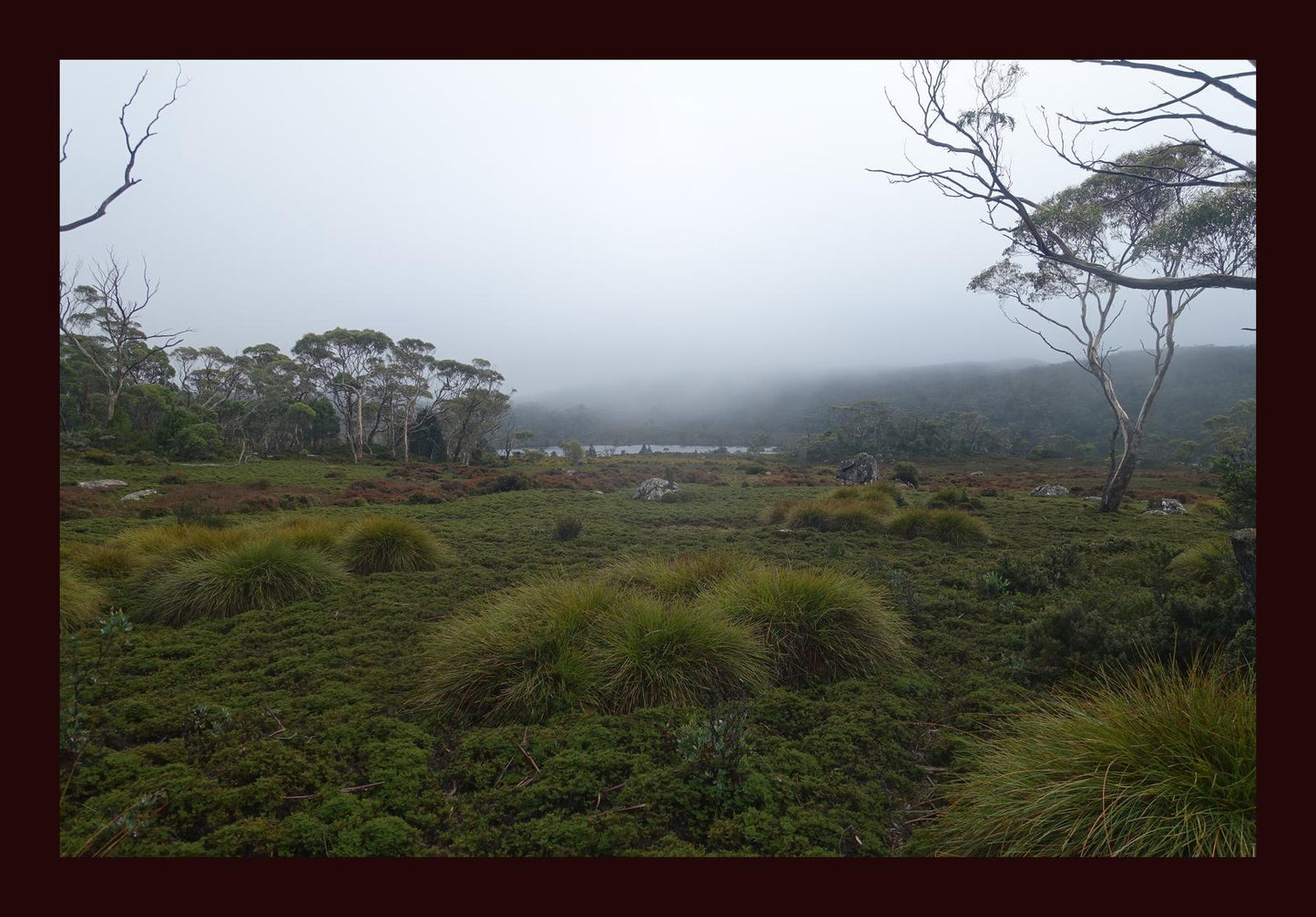 The banks of Lake Windermere (Tasmania, May 2019) Framed Art Print