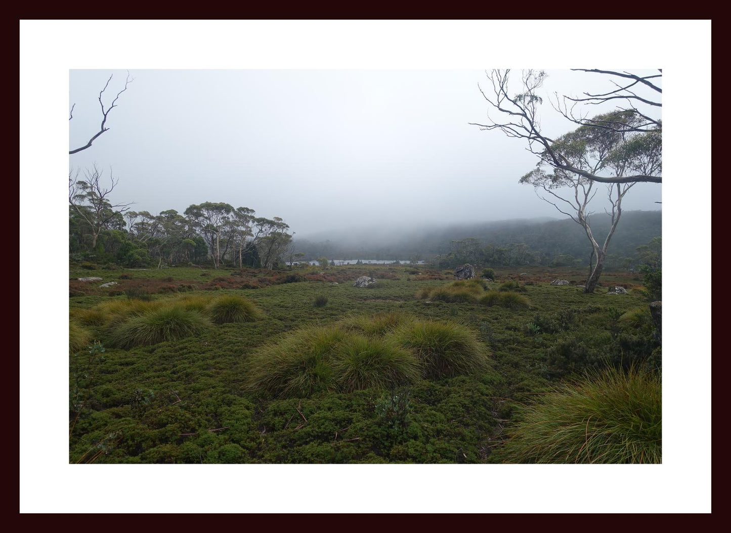 The banks of Lake Windermere (Tasmania, May 2019) Framed Art Print