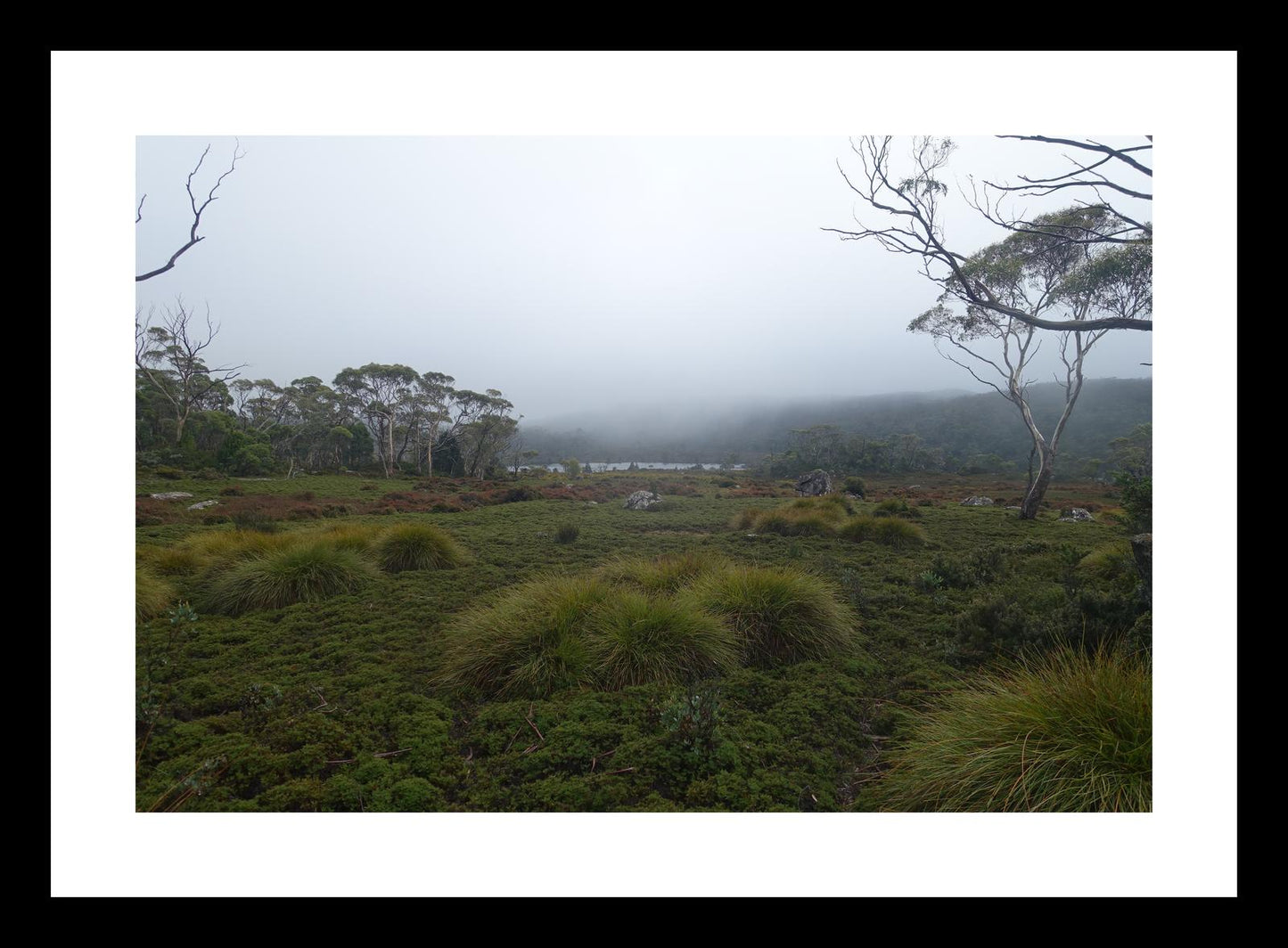 The banks of Lake Windermere (Tasmania, May 2019) Framed Art Print