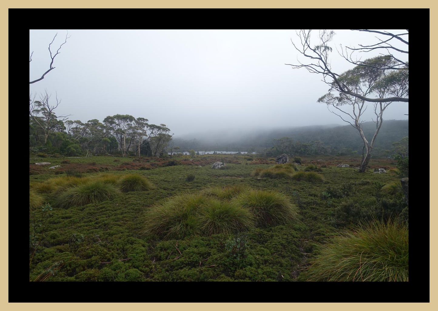 The banks of Lake Windermere (Tasmania, May 2019) Framed Art Print