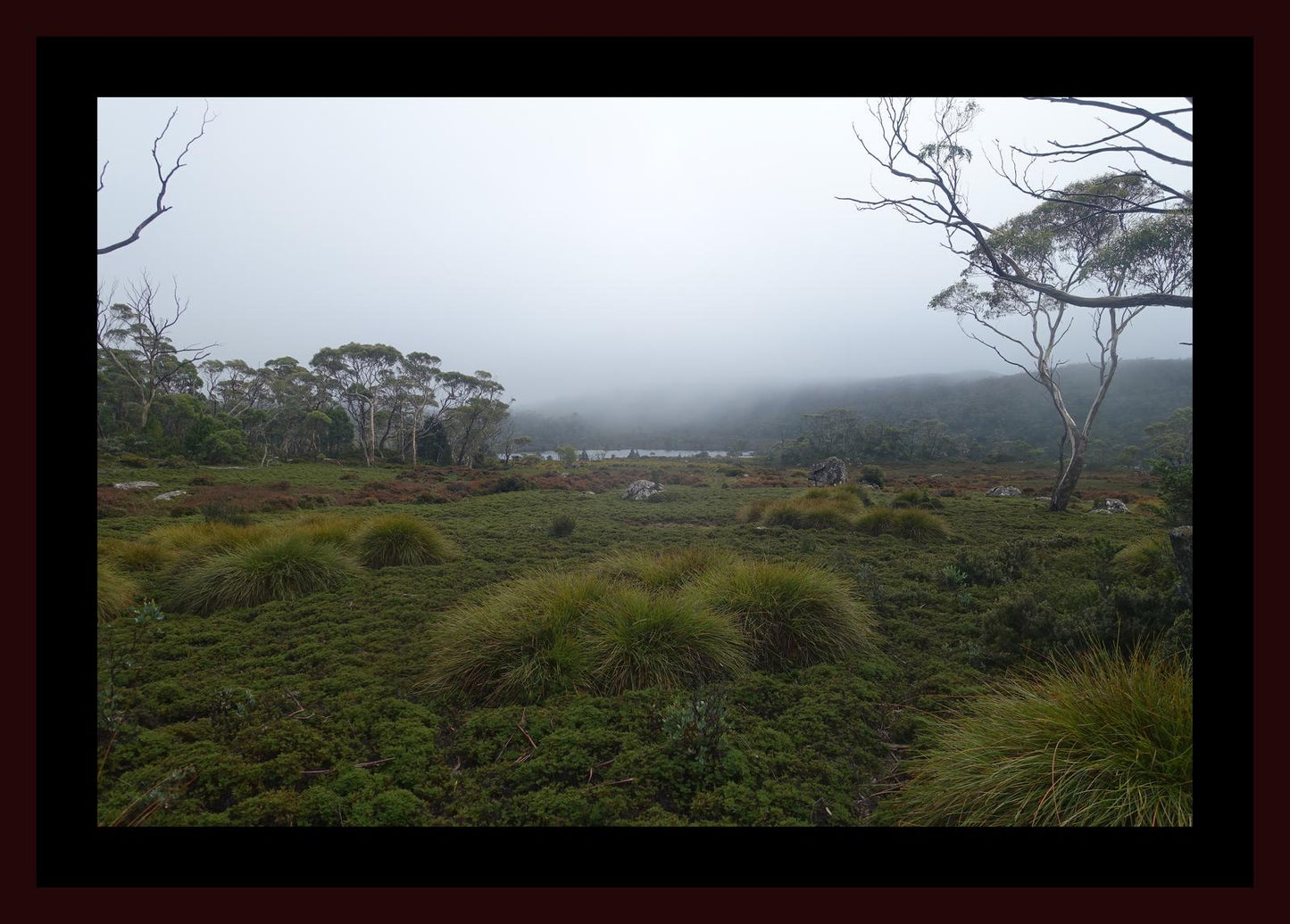 The banks of Lake Windermere (Tasmania, May 2019) Framed Art Print