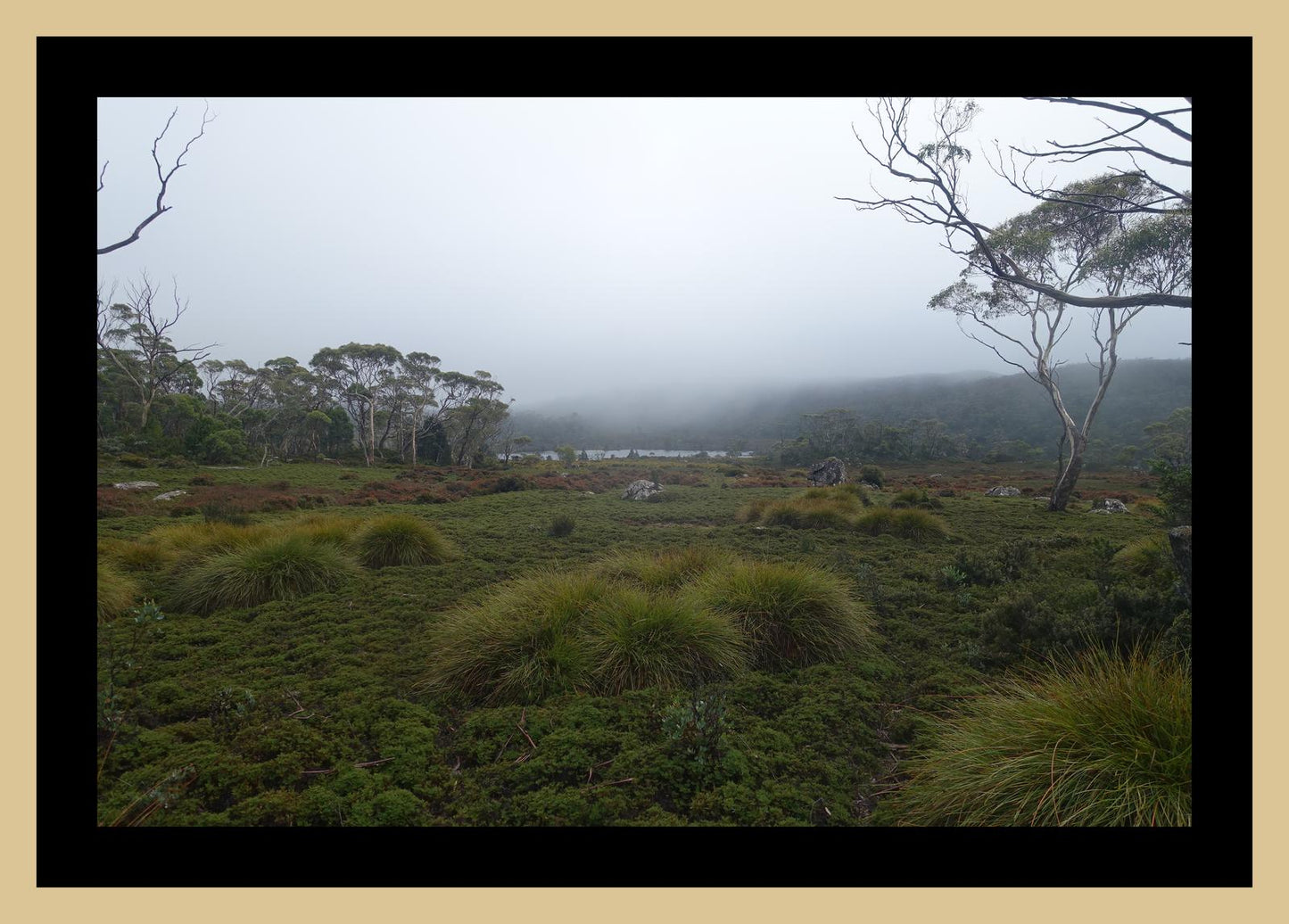 The banks of Lake Windermere (Tasmania, May 2019) Framed Art Print