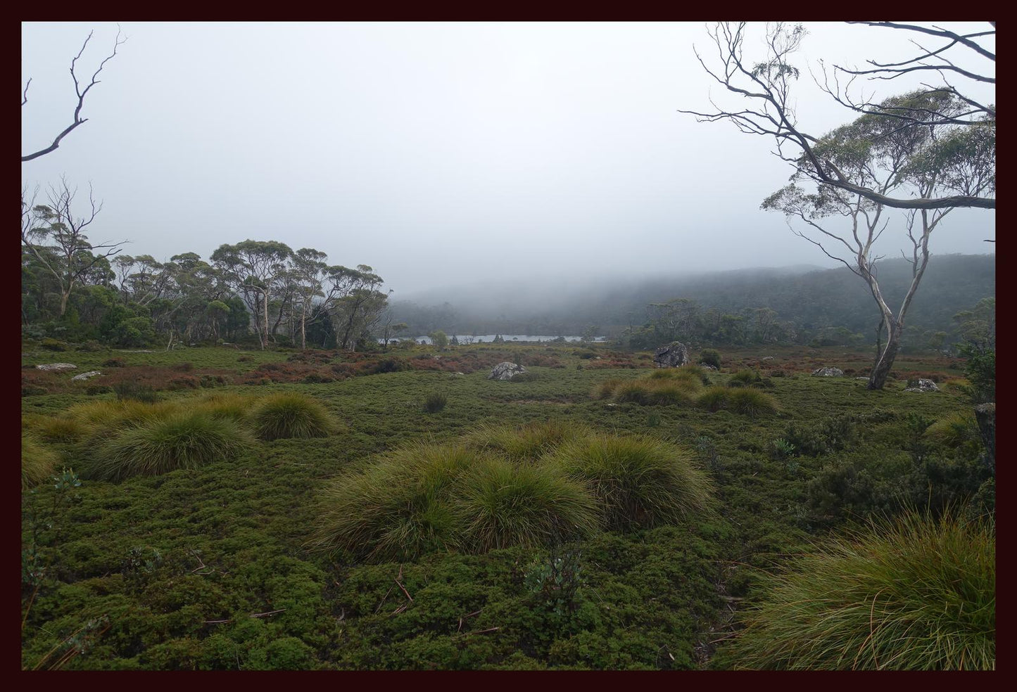 The banks of Lake Windermere (Tasmania, May 2019) Framed Art Print