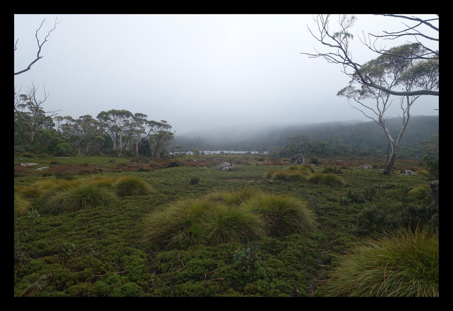 The banks of Lake Windermere (Tasmania, May 2019) Framed Art Print