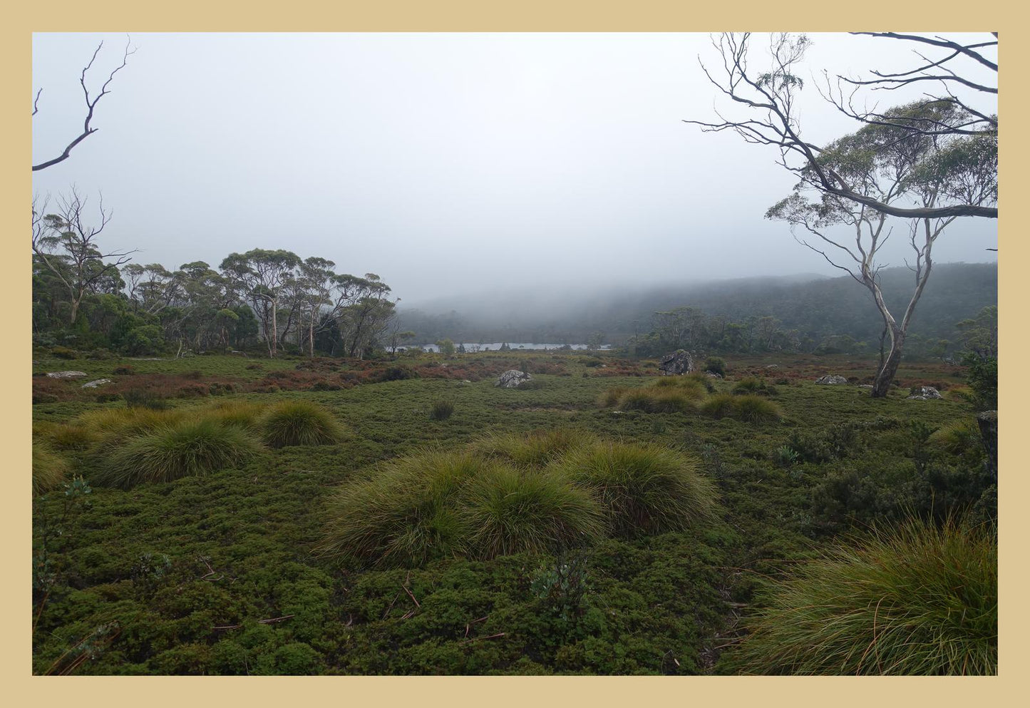 The banks of Lake Windermere (Tasmania, May 2019) Framed Art Print