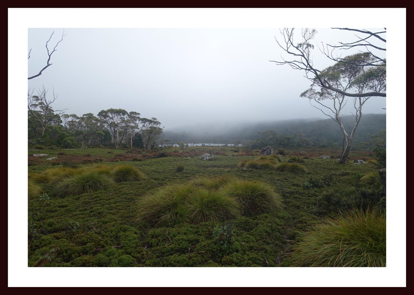 The banks of Lake Windermere (Tasmania, May 2019) Framed Art Print