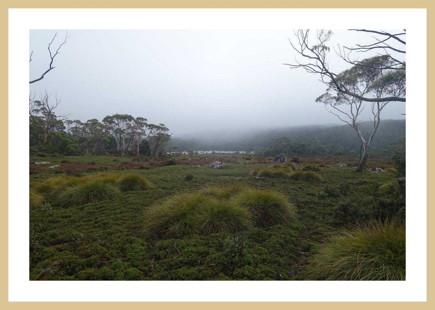 The banks of Lake Windermere (Tasmania, May 2019) Framed Art Print
